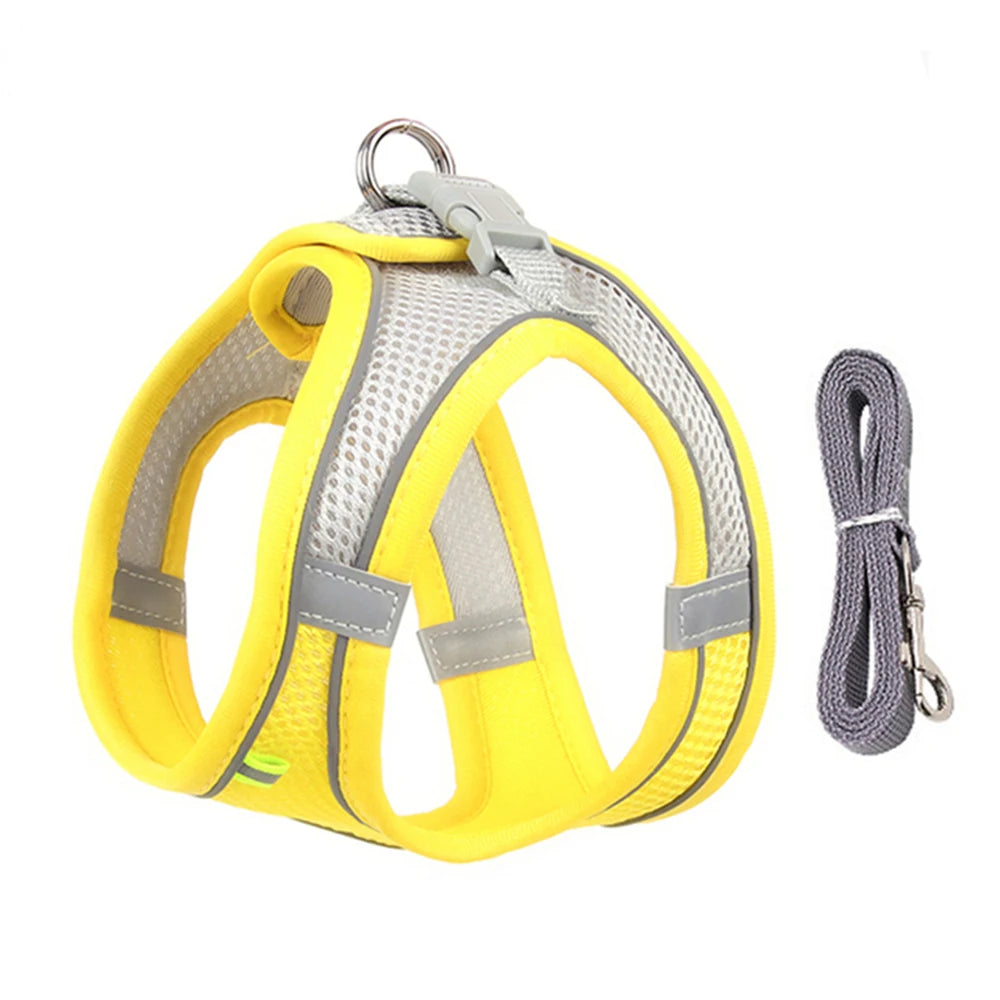 Pettorina Mesh con Guinzaglio per Cani e Gatti