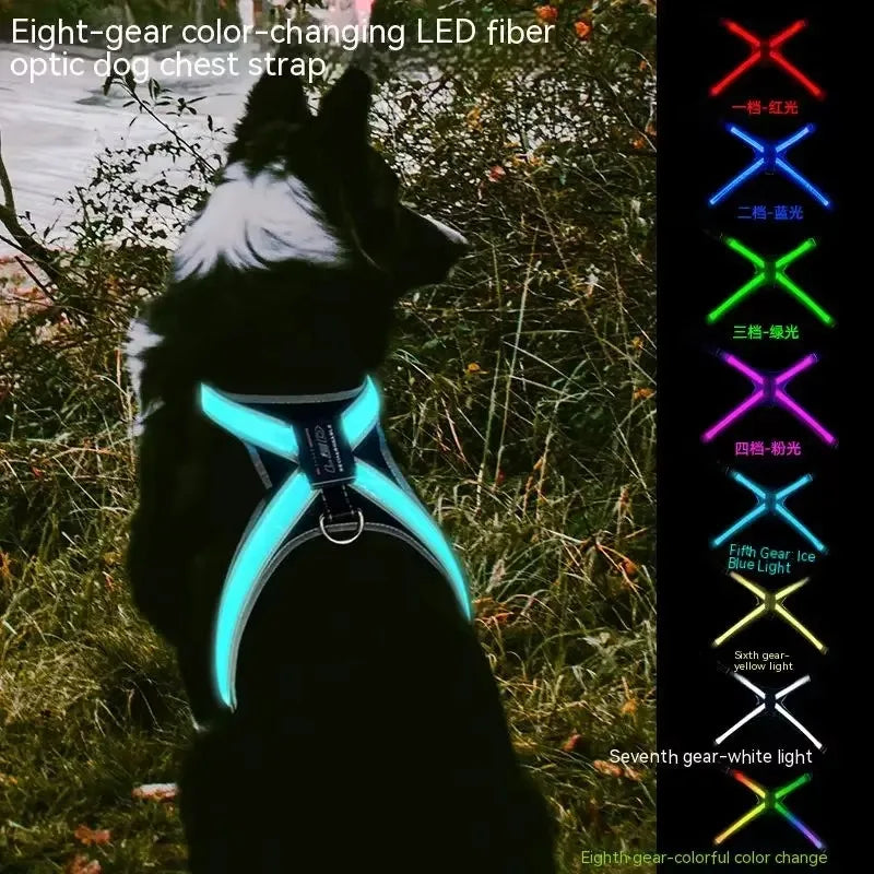 Pettorina LED Colorata per Cani