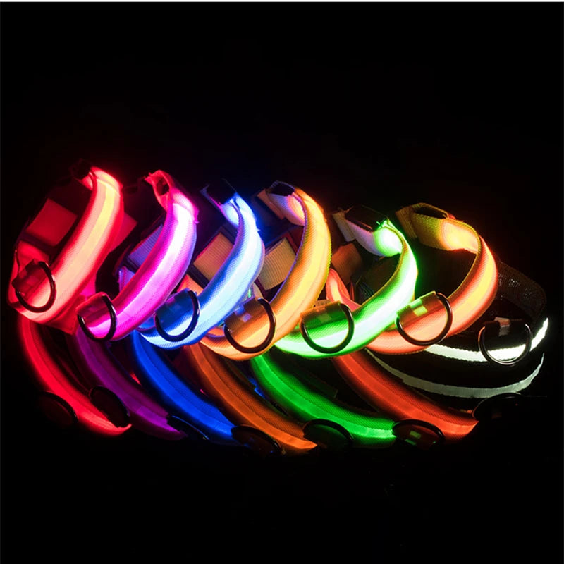 Collare LED Luminoso Ricaricabile per Cani