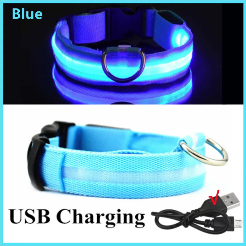 Collare LED Luminoso Ricaricabile per Cani