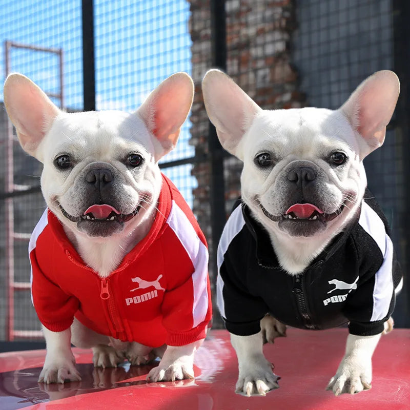 Felpa Baseball per Cani Invernale