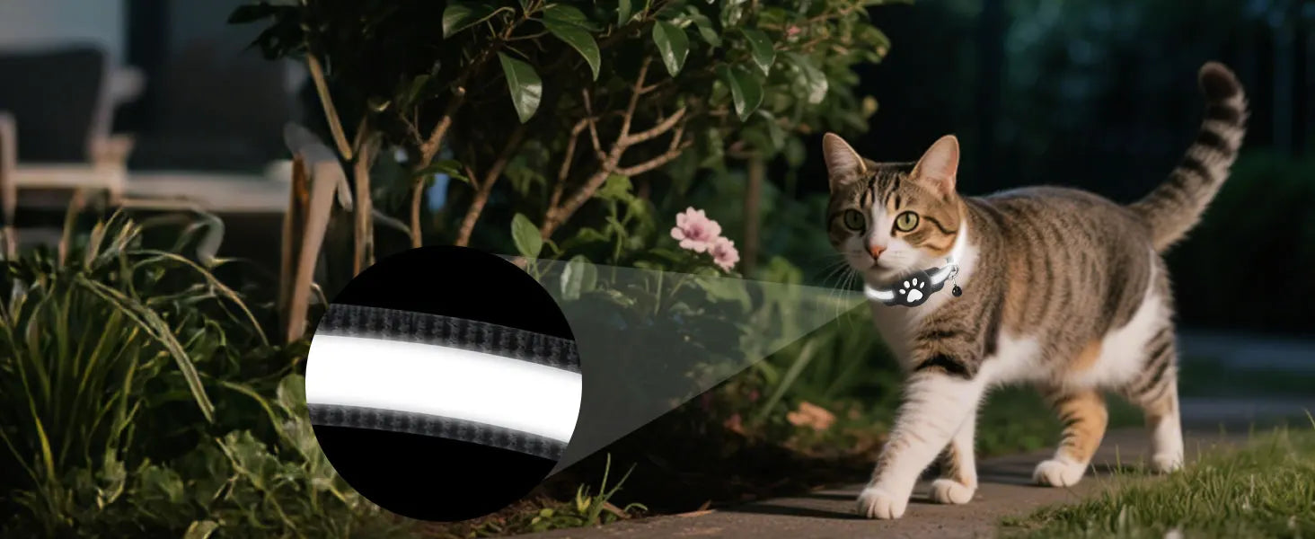 Tracker Bluetooth per Animali (Google Find My)