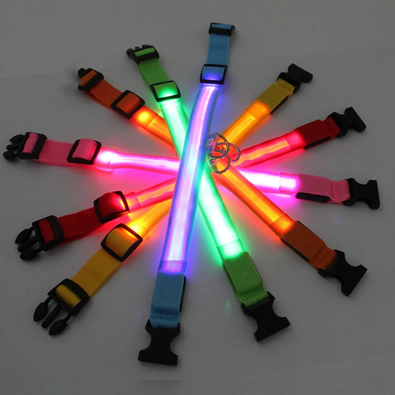 Collare LED Luminoso Ricaricabile per Cani