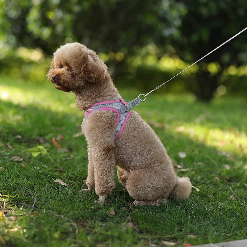 Pettorina Mesh con Guinzaglio per Cani e Gatti