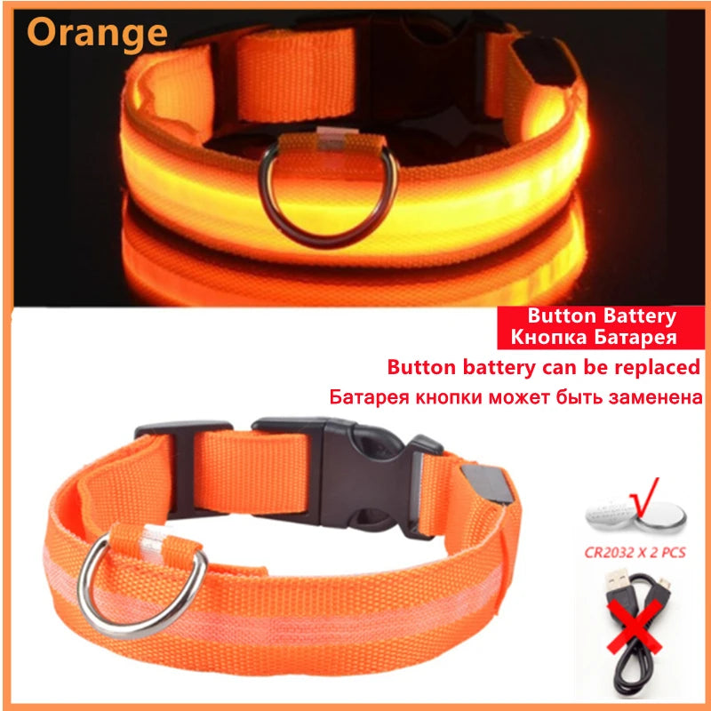 Collare LED Luminoso Ricaricabile per Cani