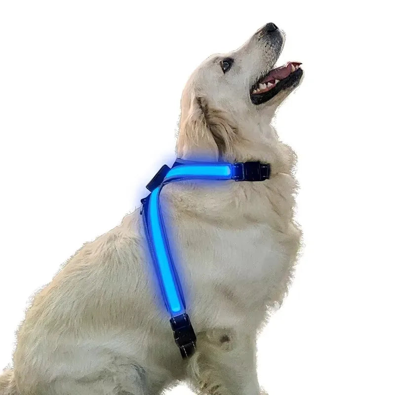Pettorina LED Colorata per Cani