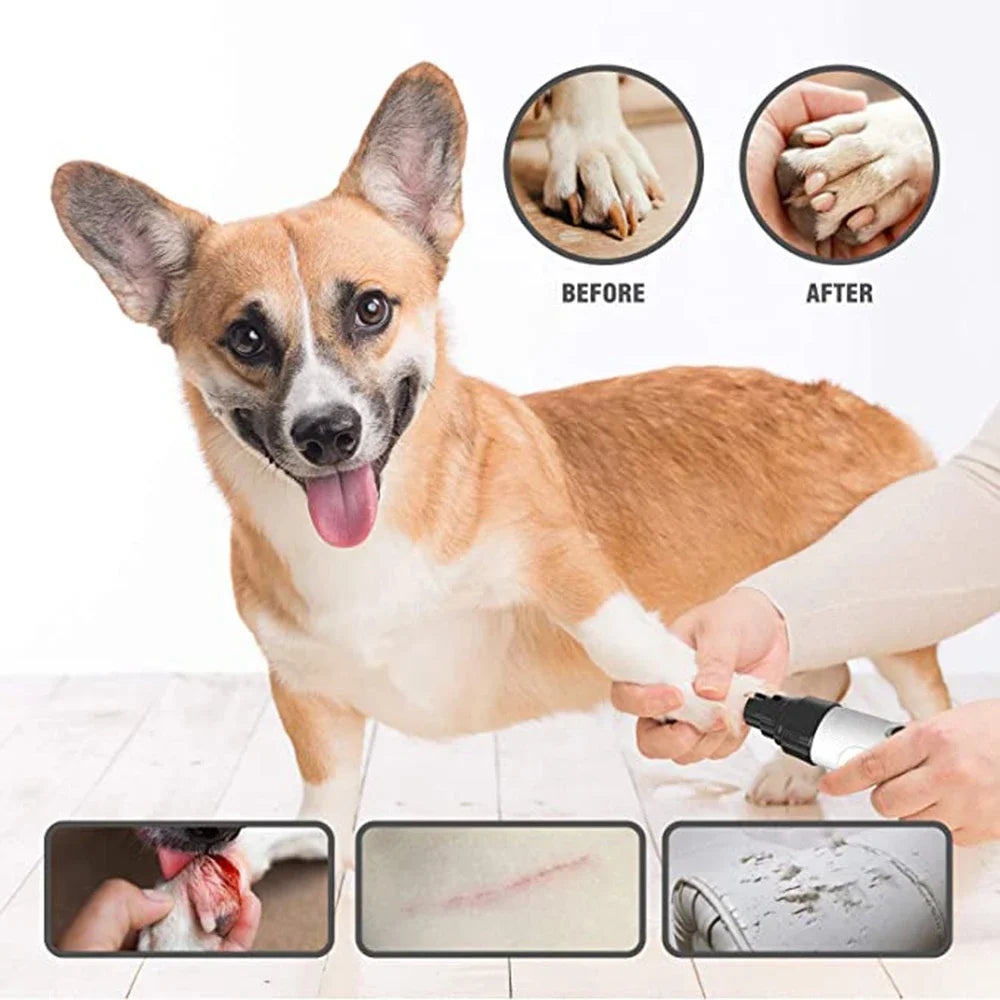 Smerigliatrice Elettrica Unghie per Cani e Gatti