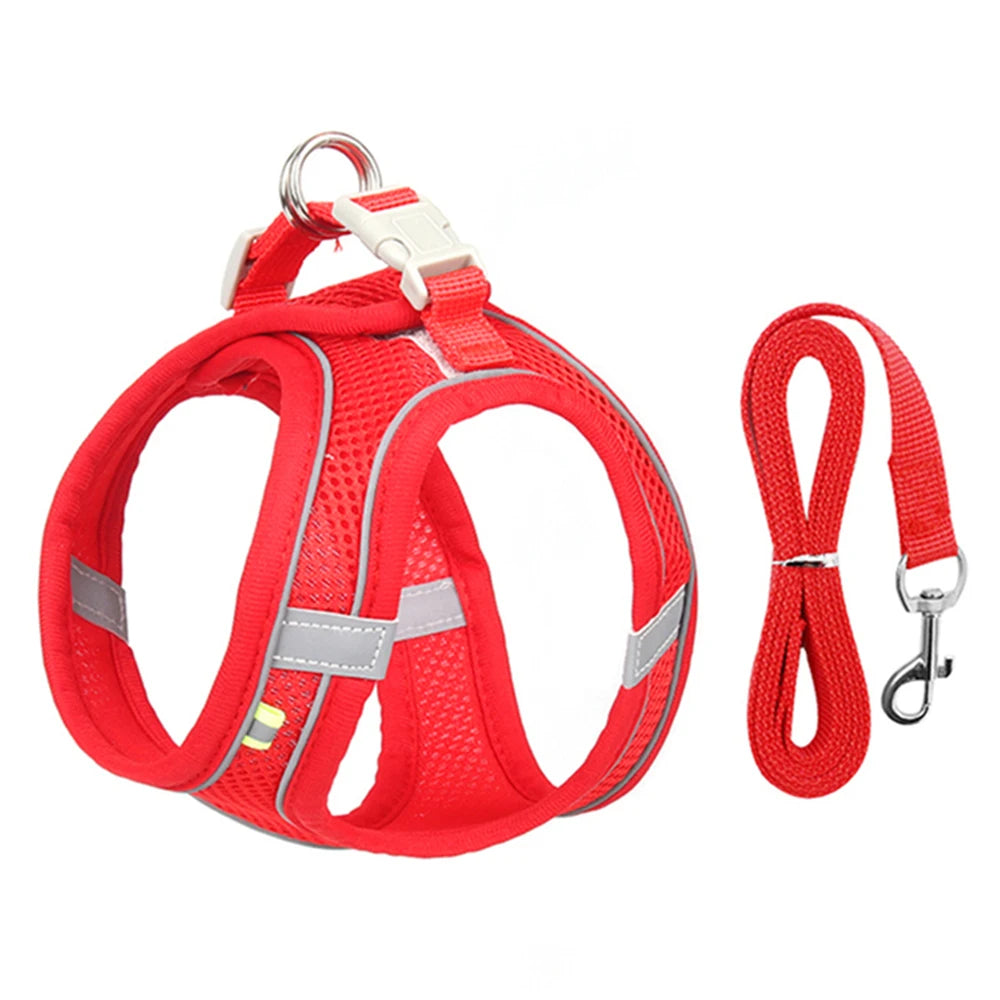 Pettorina Mesh con Guinzaglio per Cani e Gatti
