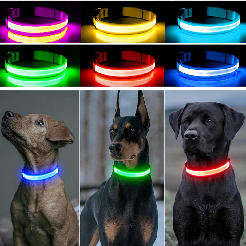 Collare LED Luminoso Ricaricabile per Cani