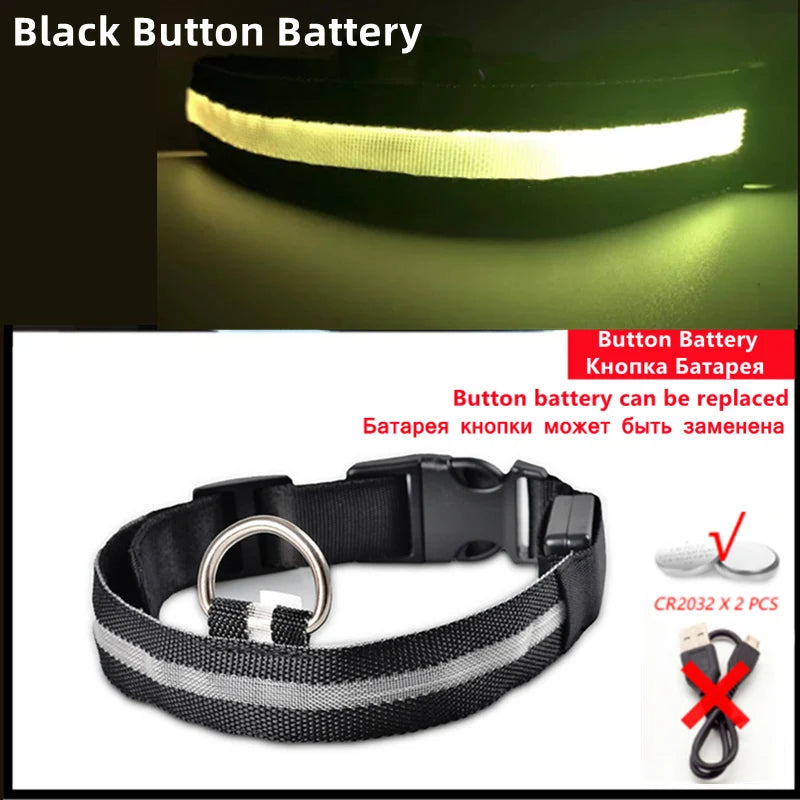 Collare LED Luminoso Ricaricabile per Cani