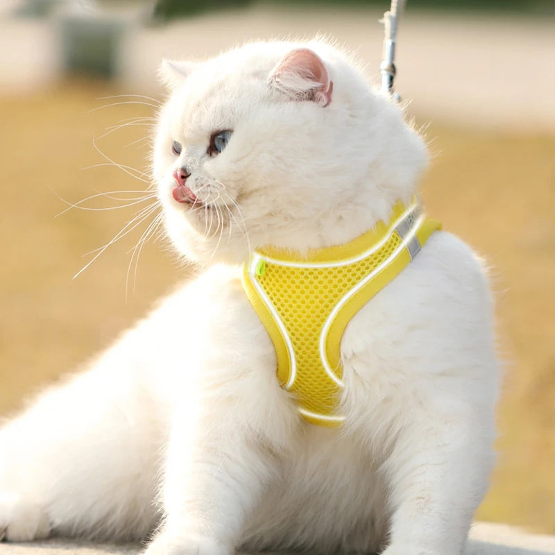 Pettorina Mesh con Guinzaglio per Cani e Gatti