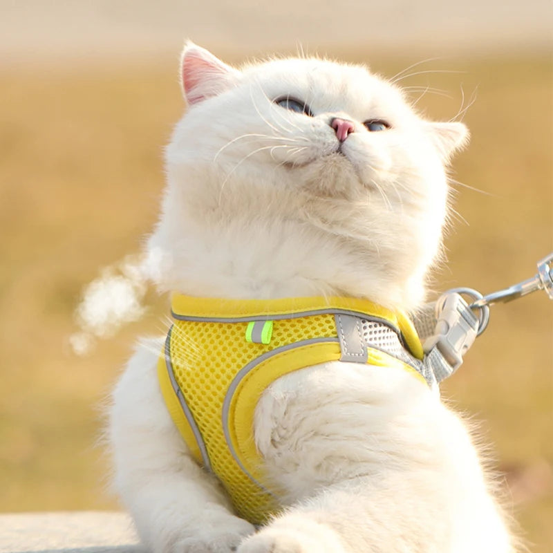 Pettorina Mesh con Guinzaglio per Cani e Gatti