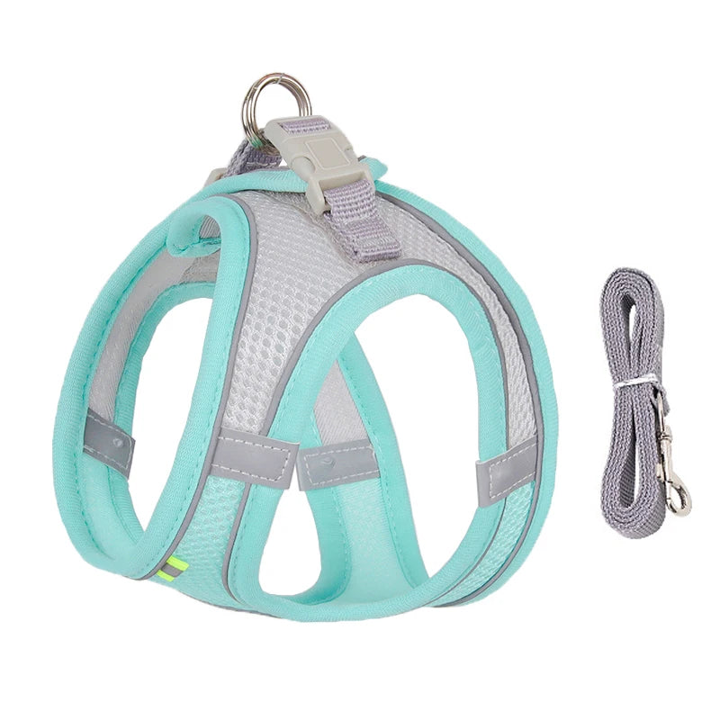 Pettorina Mesh con Guinzaglio per Cani e Gatti