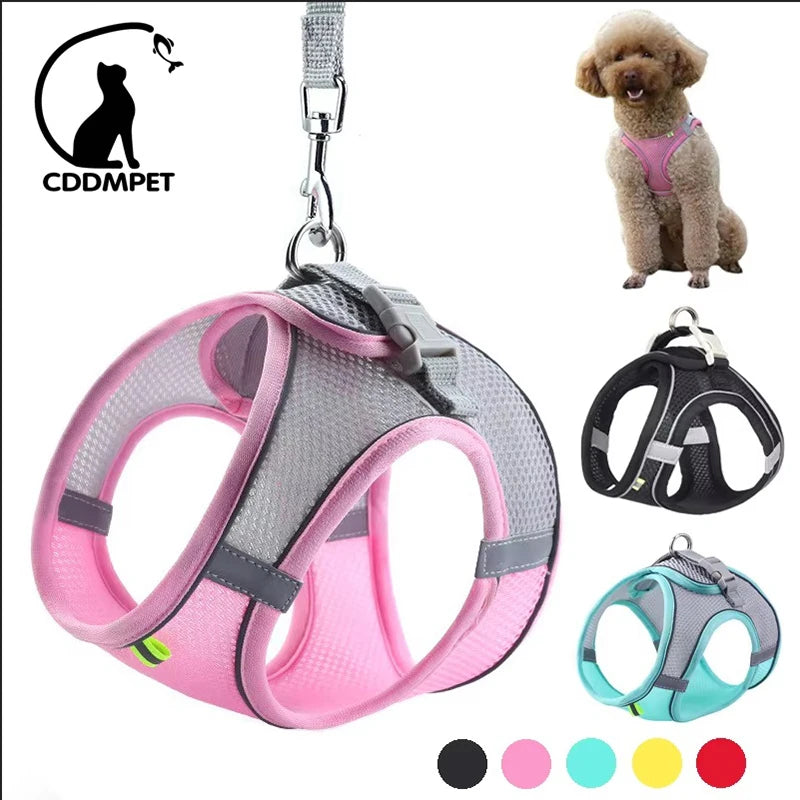 Pettorina Mesh con Guinzaglio per Cani e Gatti