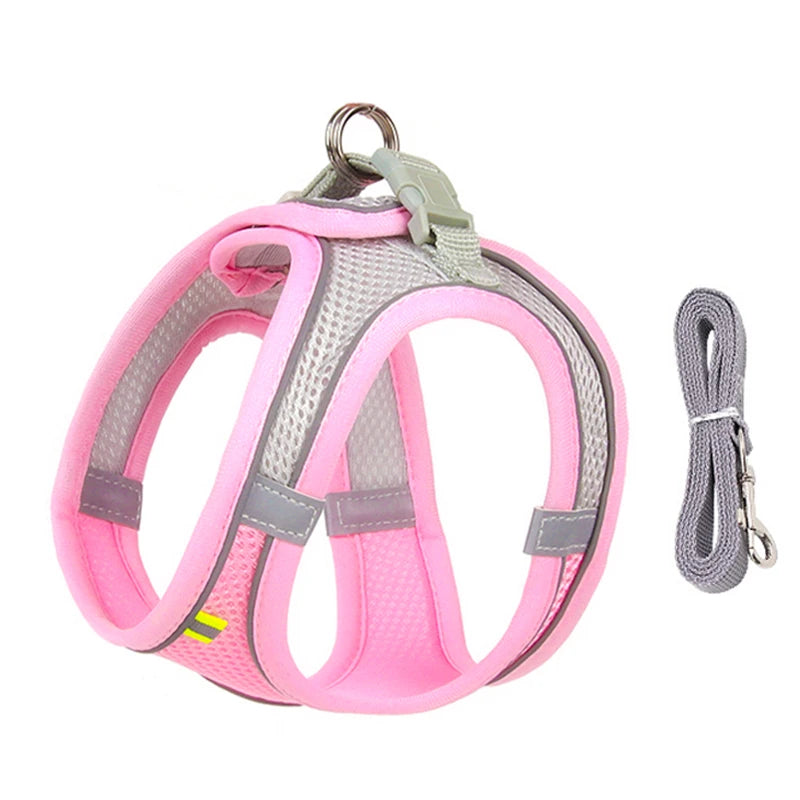 Pettorina Mesh con Guinzaglio per Cani e Gatti