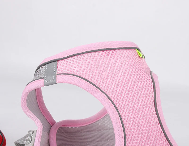 Pettorina Mesh con Guinzaglio per Cani e Gatti