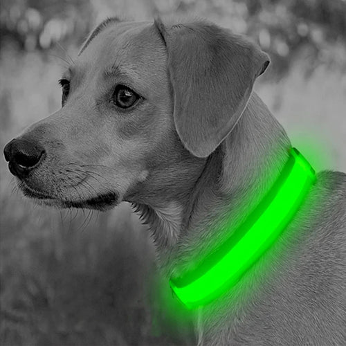 Collare LED Luminoso Ricaricabile per Cani