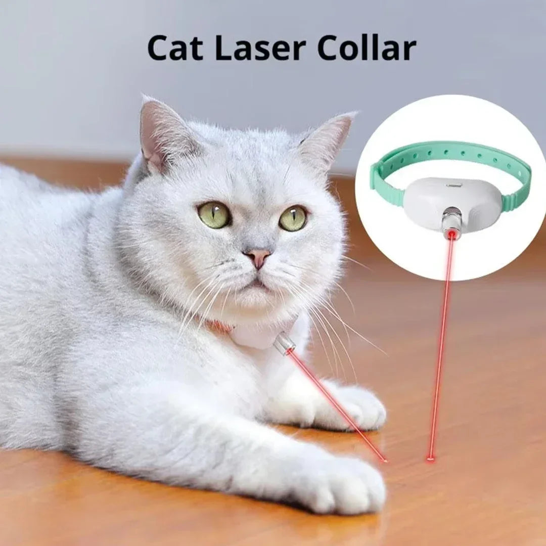 Collare Laser Automatico Ricaricabile per Gatti