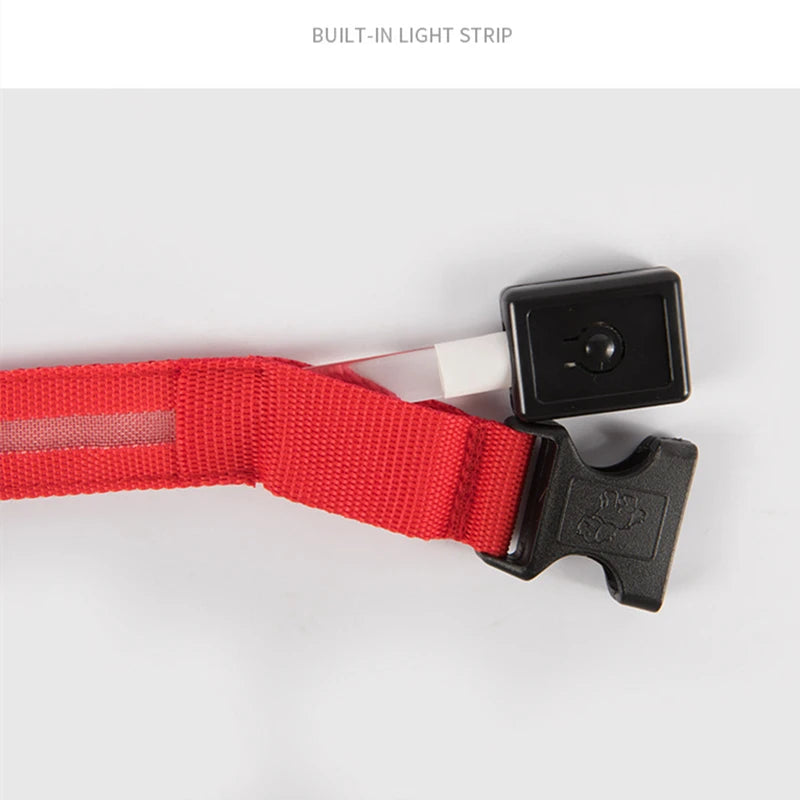 Collare LED Luminoso Ricaricabile per Cani
