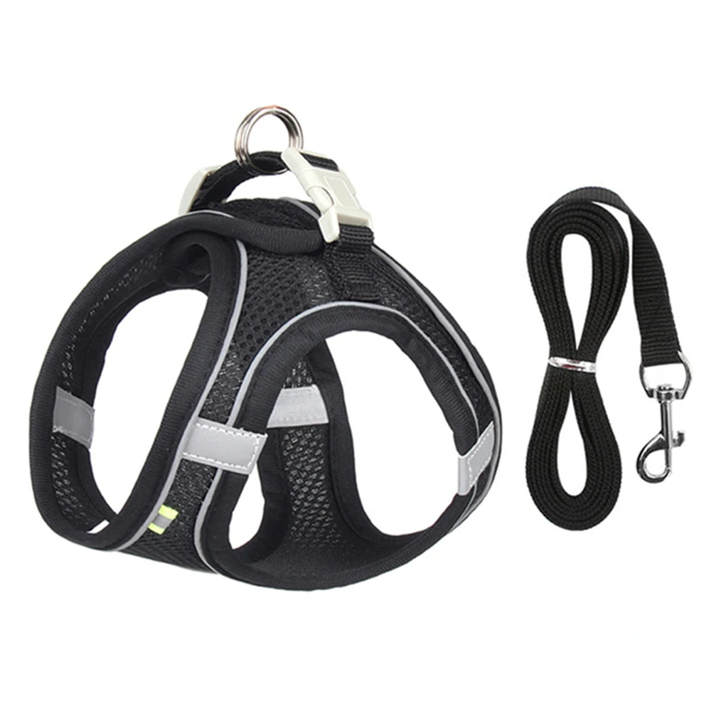Pettorina Mesh con Guinzaglio per Cani e Gatti