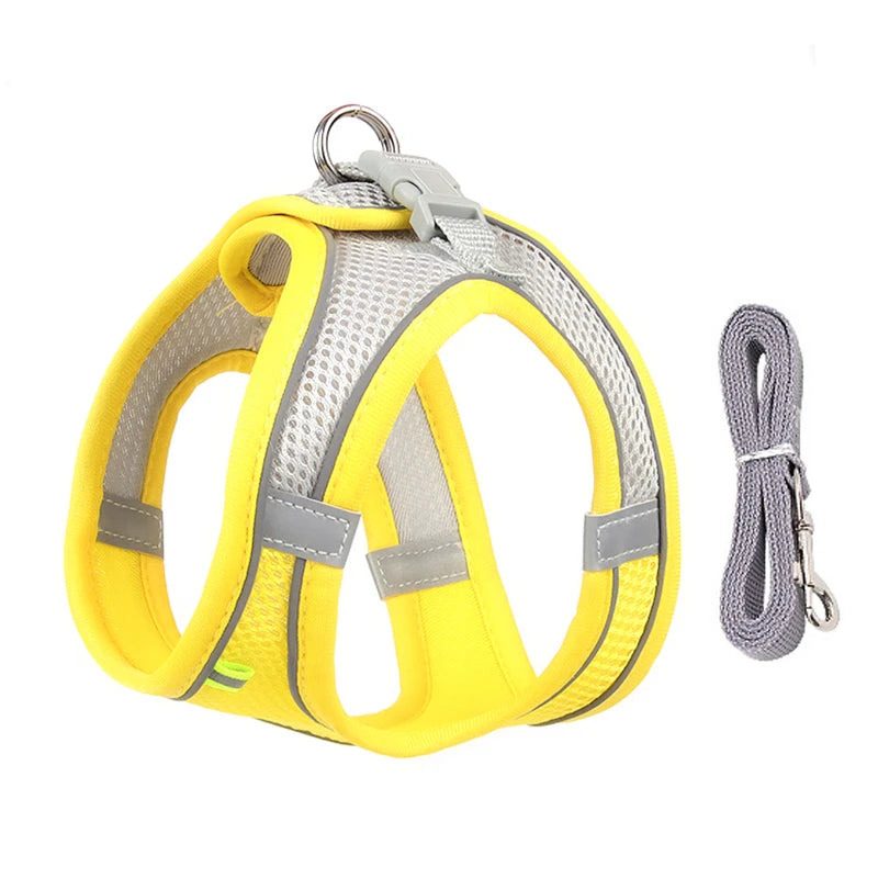 Pettorina Mesh con Guinzaglio per Cani e Gatti