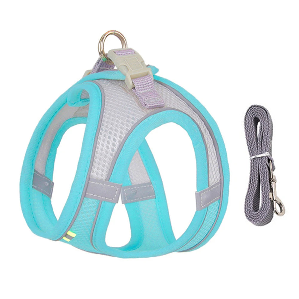 Pettorina Mesh con Guinzaglio per Cani e Gatti