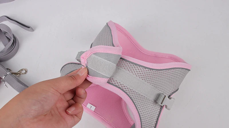 Pettorina Mesh con Guinzaglio per Cani e Gatti