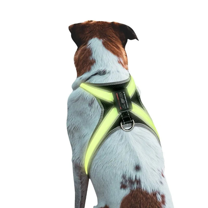 Pettorina LED Colorata per Cani